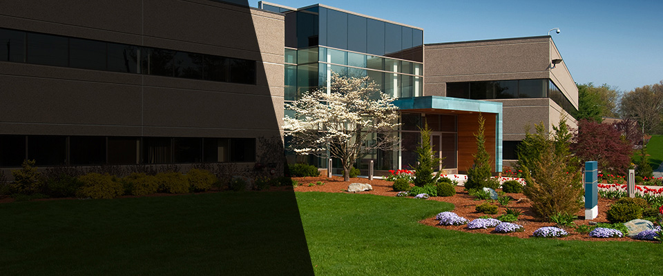 Scott Air Force Base Landscapers