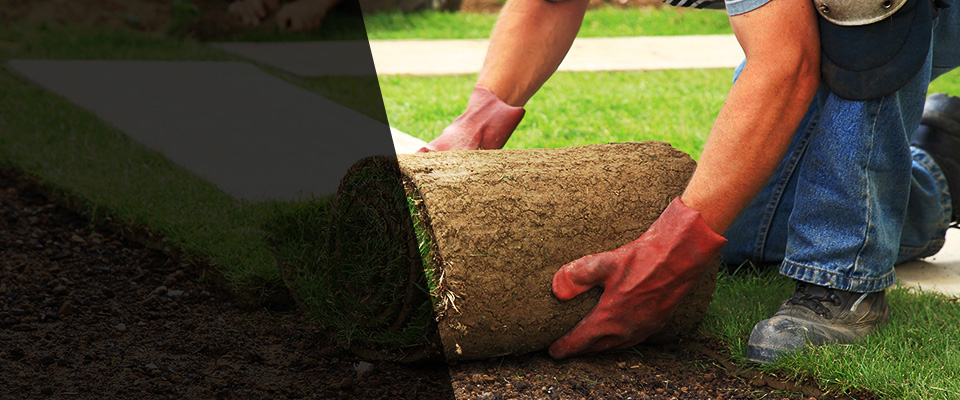 Scott Air Force Base Landscapers